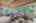 Blurred preview of media: 37