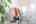 Blurred preview of media: 9 phelps lane789