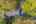 Blurred preview of media: 1-53