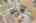 Blurred preview of media: 90 Frye Road Bolton Massachusetts Job 38664 0053