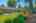 Blurred preview of media: 44