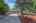 Blurred preview of media: DSC_7543
