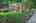 Blurred preview of media: 1793 Ivanhoe St 00004