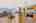 Blurred preview of media: 1-926-7249