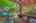 Blurred preview of media: 36