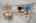 Blurred preview of media: Twilight 24