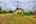 Blurred preview of media: IMG_1354_5_6_easyHDR edited 1