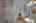 Blurred preview of media: 29