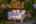 Blurred preview of media: 1-122