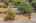 Blurred preview of media: 5500MeadowOakSt-44