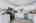Blurred preview of media: 201 Quail Fritch-7