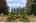 Blurred preview of media: 1-36
