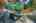 Blurred preview of media: 1-31