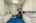 Blurred preview of media: 1-40