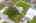 Blurred preview of media: iPixx_10_10