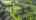 Blurred preview of media: DJI_0904