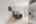 Blurred preview of media: 25 Avon Road 30