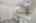 Blurred preview of media: DSC01274