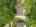 Blurred preview of media: DJI_0007