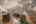 Blurred preview of media: 0314 Coronet Drive, Blue River, Colorado, 80424 - Web-4