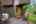 Blurred preview of media: PAX_1901