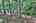 Blurred preview of media: IMG_1654_5_6_easyHDR