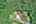 Blurred preview of media: DJI_0157_8_9_easyHDR