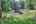 Blurred preview of media: IMG_4400_1_2_easyHDR
