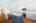 Blurred preview of media: 2-826-5499
