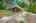 Blurred preview of media: 2-726-1215