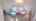 Blurred preview of media: 20260731_170408