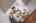 Blurred preview of media: 041