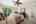 Blurred preview of media: Image Jul 27, 2026 at 08_03_40 AM