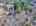 Blurred preview of media: DJI_20260329110617_0119_D_20_D_21_D_easyHDR