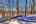 Blurred preview of media: IMG_0232_3_4_easyHDR