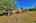 Blurred preview of media: Sky Tour-73