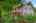 Blurred preview of media: 03