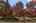 Blurred preview of media: 1-5