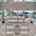 Blurred preview of media: Dorie Lu-21