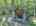 Blurred preview of media: DJI_20250802142807_0499_D_500_D_501_D_easyHDR