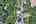 Blurred preview of media: DJI_0171_2_3_easyHDR