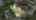 Blurred preview of media: DJI_0517 copy