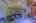 Blurred preview of media: IMG_1486_7_8