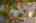 Blurred preview of media: Aerial 03 Marker
