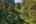 Blurred preview of media: 1-52