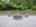 Blurred preview of media: 15-phlox-terrace-glenwood-nj-usa-house-b-photos-005