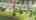 Blurred preview of media: ipixx-28 copy