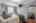 Blurred preview of media: 026