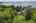 Blurred preview of media: DJI_0342