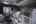 Blurred preview of media: Miss B Haven-23